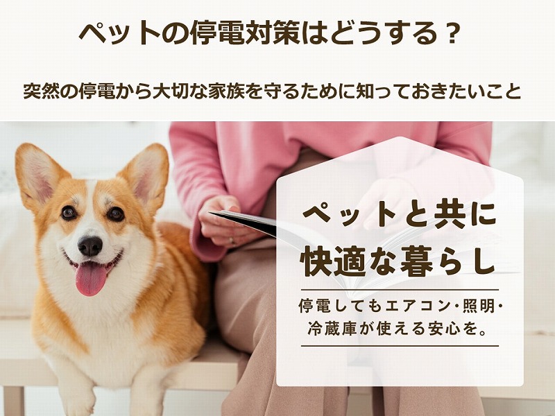 ペットの停電対策はどうする？突然の停電から大切な家族を守るために